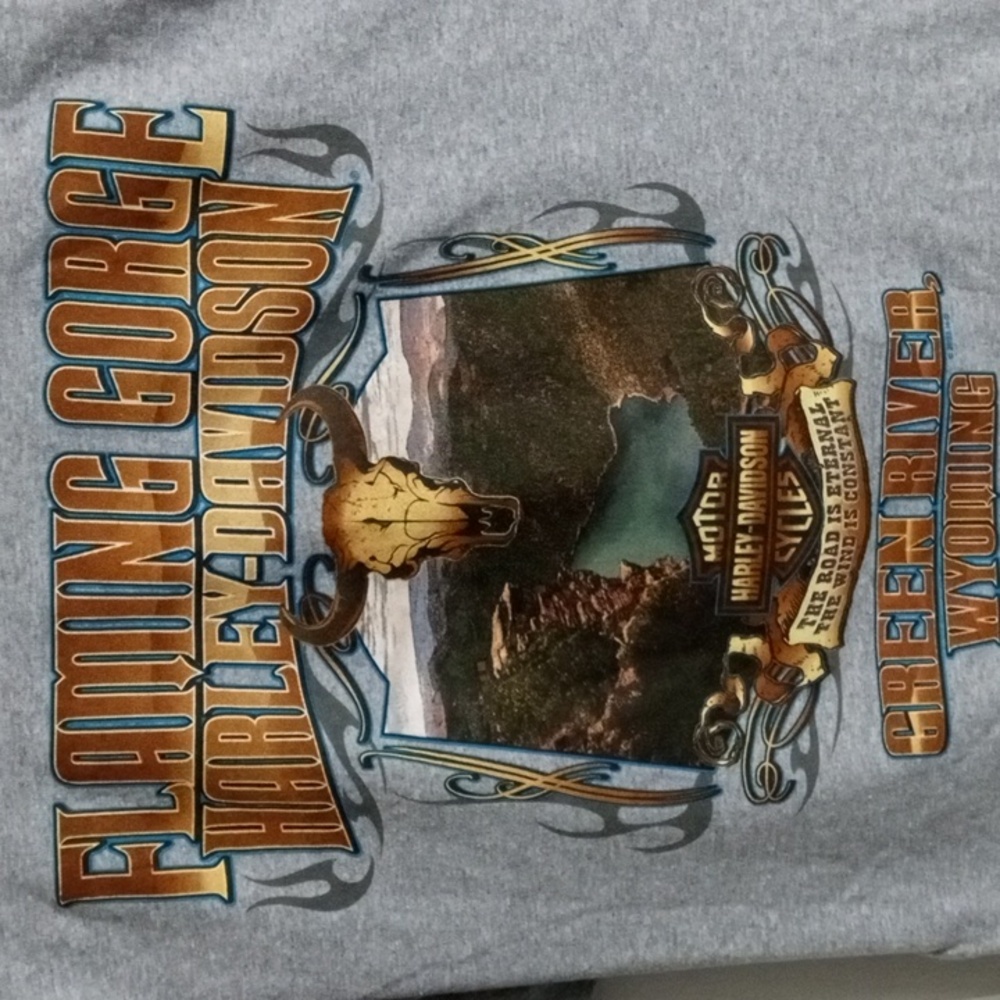 Harley-Davidson V-Twin Powered Gray Short Sleeve Tee Shirt Mens Large - Picture 3 of 6